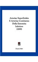Arteriae Superficiales E Arteriae Comitantes Della Estremita Inferiore (1899)