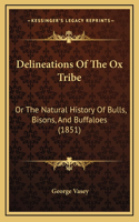 Delineations Of The Ox Tribe: Or The Natural History Of Bulls, Bisons, And Buffaloes (1851)