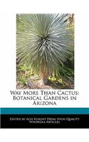Way More Than Cactus: Botanical Gardens in Arizona