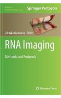 RNA Imaging: Methods and Protocols