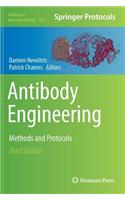 Antibody Engineering