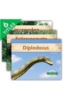 Dinosaurios Set 2 (Dinosaurs) (Set)