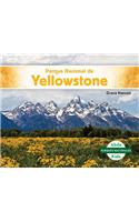 Parque Nacional de Yellowstone (Yellowstone National Park): (Parques Nacionales (National Parks))