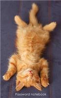 Password Notebook: Internet Address and Password Logbook / Journal / Diary - Ginger Kitten Chilling Out