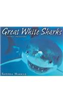 Great White Sharks