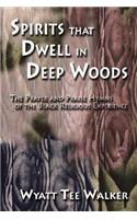 Spirits That Dwell in Deep Woods