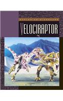 Velociraptor