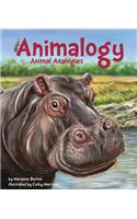 Animalogy: Animal Analogies