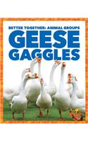 Geese Gaggles