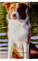 Border Collie Carnet de notes: Journal A5 ligné original de 119 pages- Une belle idée de cadeau pour les amoureux des animaux
