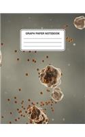 Graph Paper Notebook