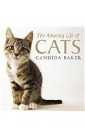 The Amazing Life of Cats