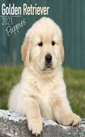Golden Retriever Puppies 2021 Wall Calendar
