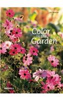 Colour in the Garden