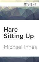 Hare Sitting Up