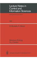 Minimum Entropy H_ Control: (146 Lecture Notes in Control and Information Sciences)
