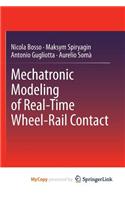 Mechatronic Modeling of Real-Time Wheel-Rail Contact