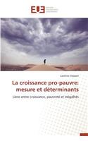 La Croissance Pro-Pauvre