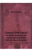 Clusters from Eshcol Or, Words of Comfort and Ecncouragement Drawn from the Sacred Scriptures