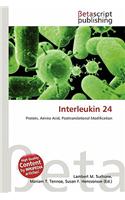 Interleukin 24