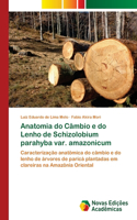Anatomia do Câmbio e do Lenho de Schizolobium parahyba var. amazonicum