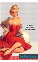 3 Year Planner 2020-2022: Vintage Retro 36 month Planner, arty and classy. At a glance planner and organizer for your everyday needs and appointments. Special gift for retro,