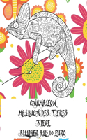 Malbuch des Tieres - Billiger als 10 Euro - Tiere - Chamäleon