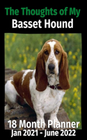 Thoughts of My Basset Hound
