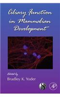 Ciliary Function in Mammalian Development: (Current Topics in Developmental Biology)