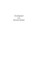 Development of the Nervous System