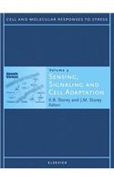 Sensing, Signaling and Cell Adaptation