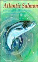 Atlantic Salmon