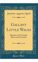 Gallant Little Wales: Sketches of Its People, Places and Customs (Classic Reprint)