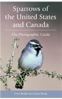 Sparrows of the United States and Canada: The Photographic Guide