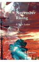 November Rising: A Year Later