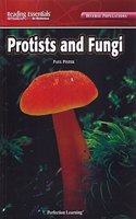 Protists and Fungi