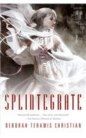 Splintegrate