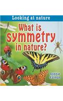 What Is Symmetry in Nature?