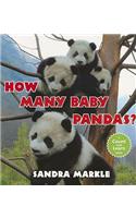 How Many Baby Pandas?