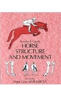 Horse Structure and Movement