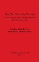 From Tool Use to Site Function