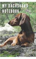 My Dachshund Notebook