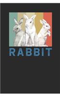 Rabbit Retro: Rabbits Notebook, Graph Paper (6 x 9 - 120 pages) Animal Themed Notebook for Daily Journal, DIary, and Gift