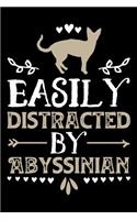 Easily Distracted By Abyssinian
