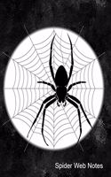 Spider Web Notes