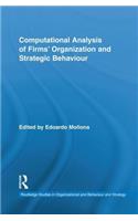 Computational Analysis of Firms' Organization and Strategic Behaviour