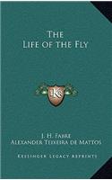 The Life of the Fly
