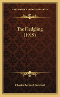The Fledgling (1919)