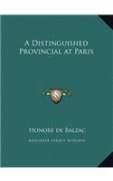 A Distinguished Provincial at Paris