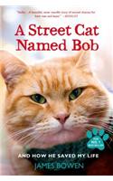A Street Cat Named Bob